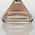 Ann Taylor Possibilities Ann Taylor Possibilities