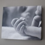 canvas prints canvas prints