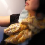 Scarf Me-4 Cashmere & silk scarf