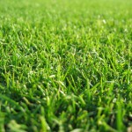 removing-grass-stains