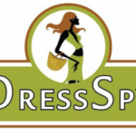 dslogo-300x195