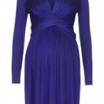 Issa Maternity Dress