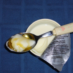 Yogurt and Honey