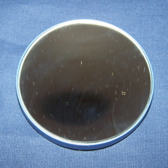 Magnifying Tweezing Mirror