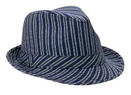 Blue Striped Fedora