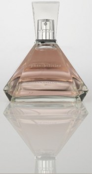 Ann Taylor Possibilities