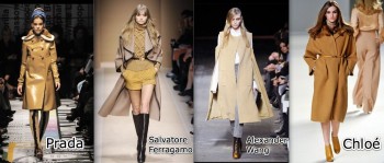 Runway Report Fall 2010