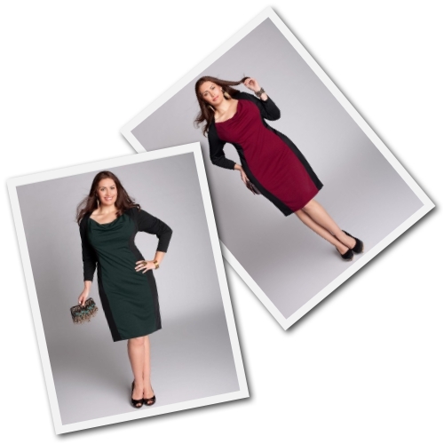 plus size nicole color block dresses from Igigi