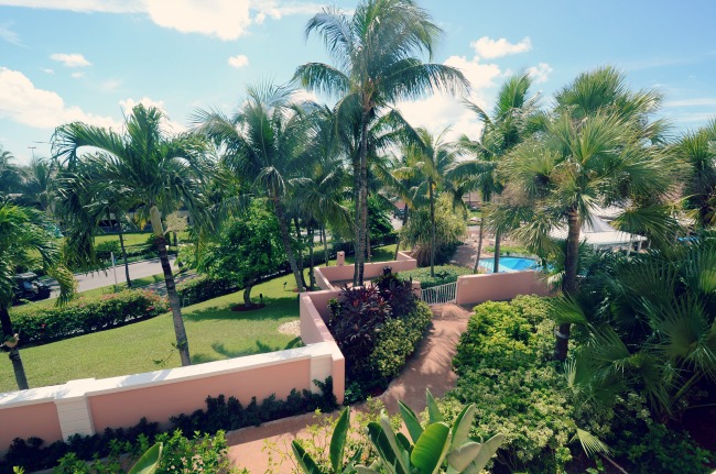 the gorgeous view from our room