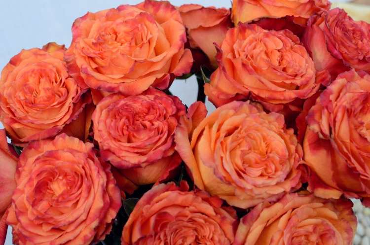 affordable, volcanic flowers delivered