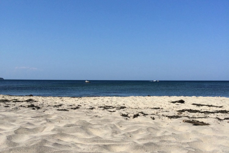 beach - summer of Starbucks