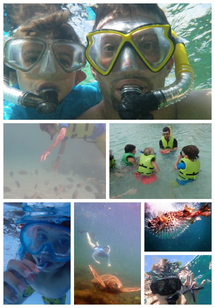 family-snorkeling